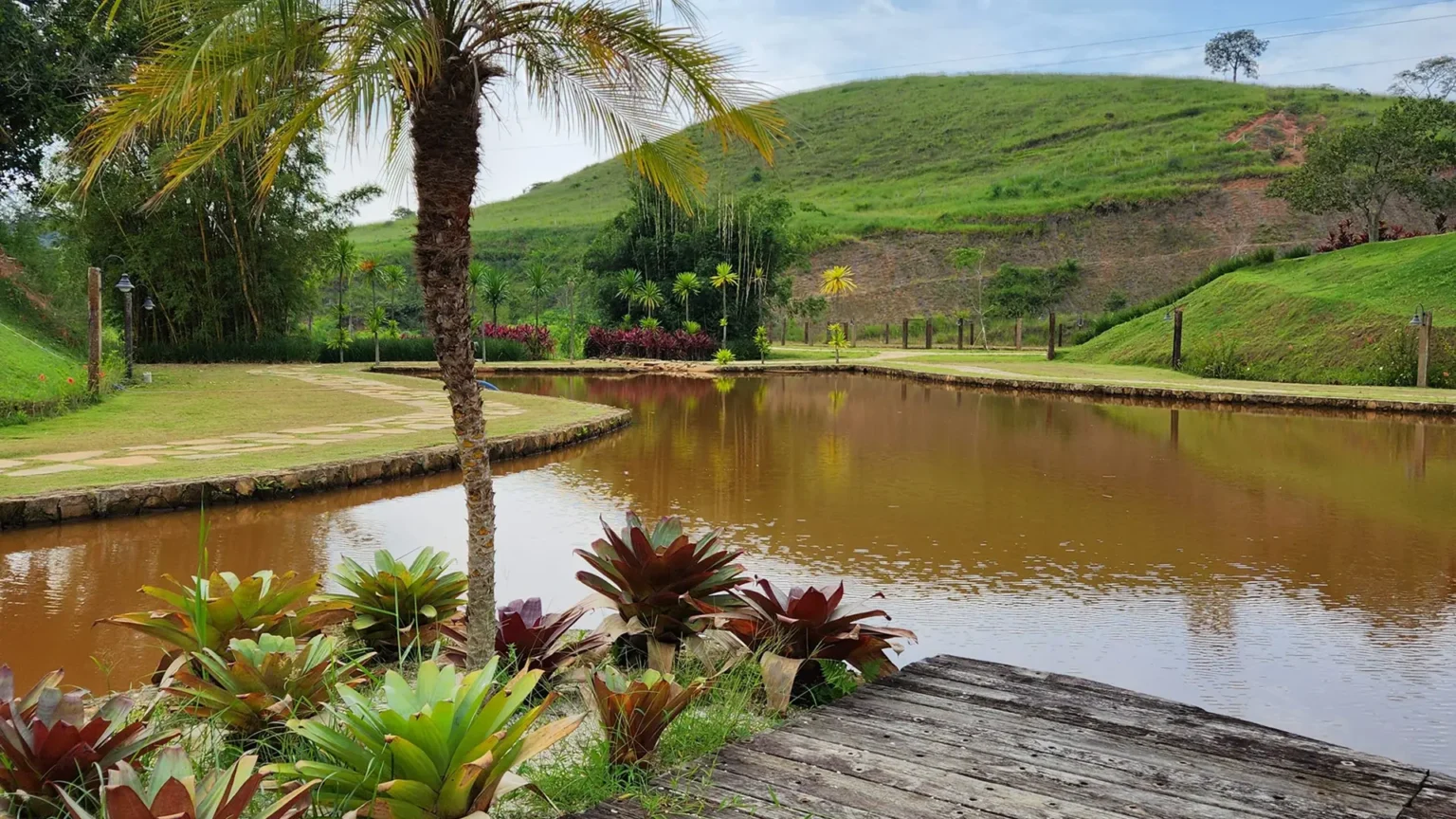 contencao-de-lagos-02-scaled