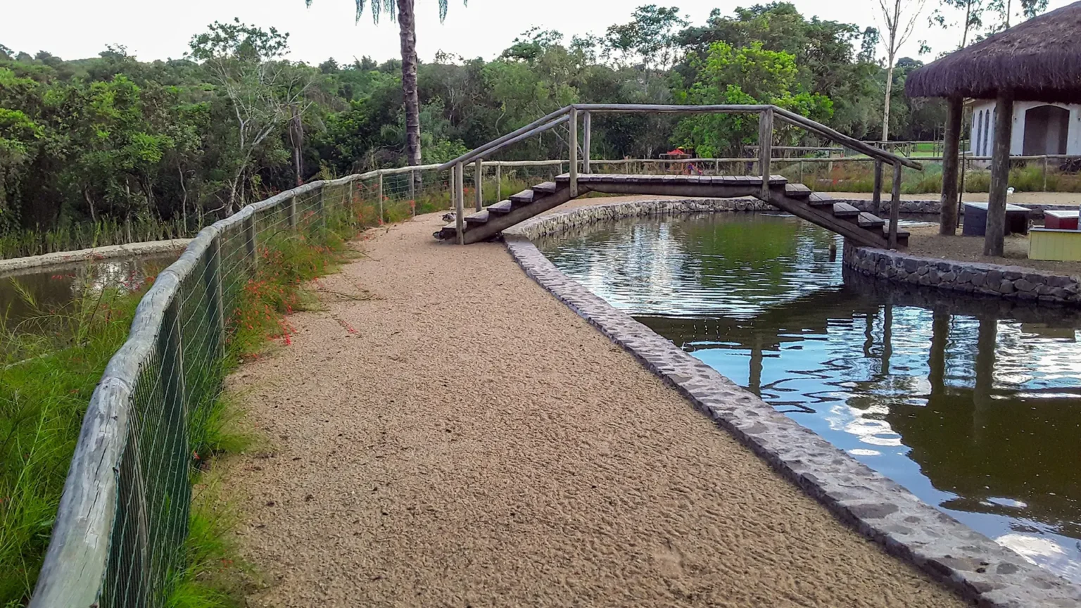 contencao-de-lagos-11-scaled