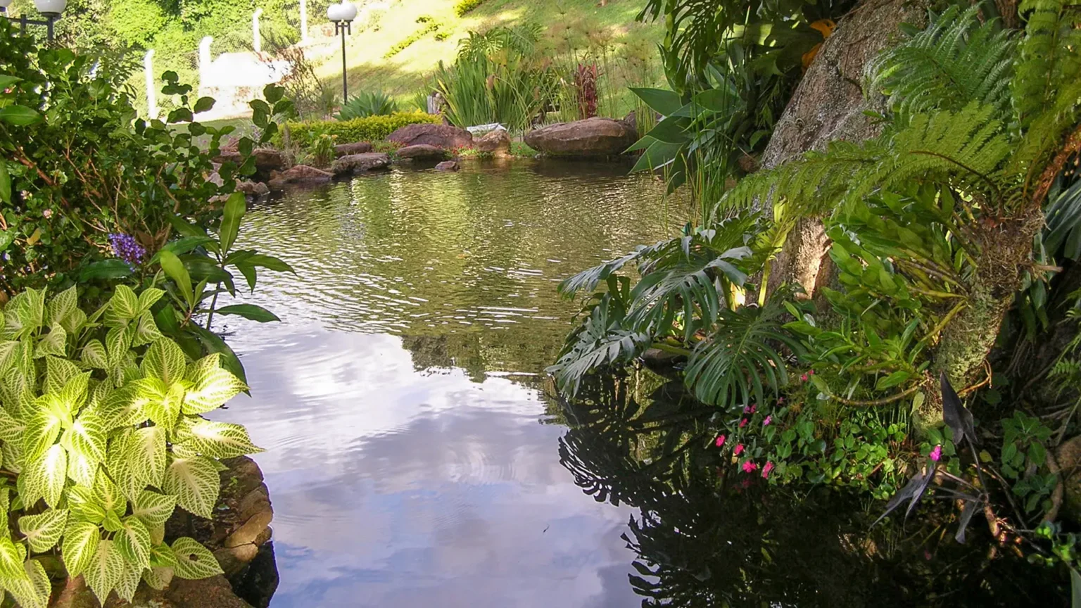 lagos-cachoeiras-riachos-e-corredeiras-02