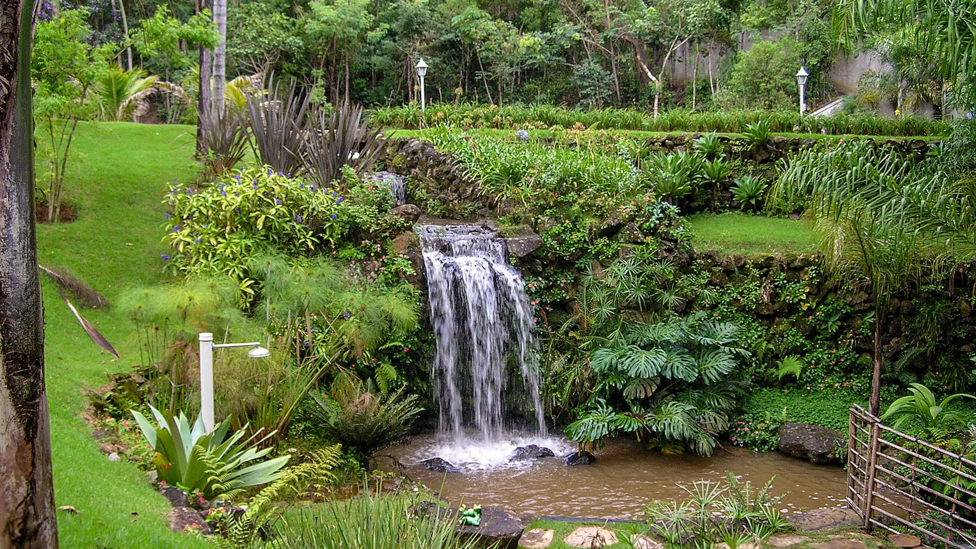 Lago e cascata com pedras naturais: do desenho à água cristalina