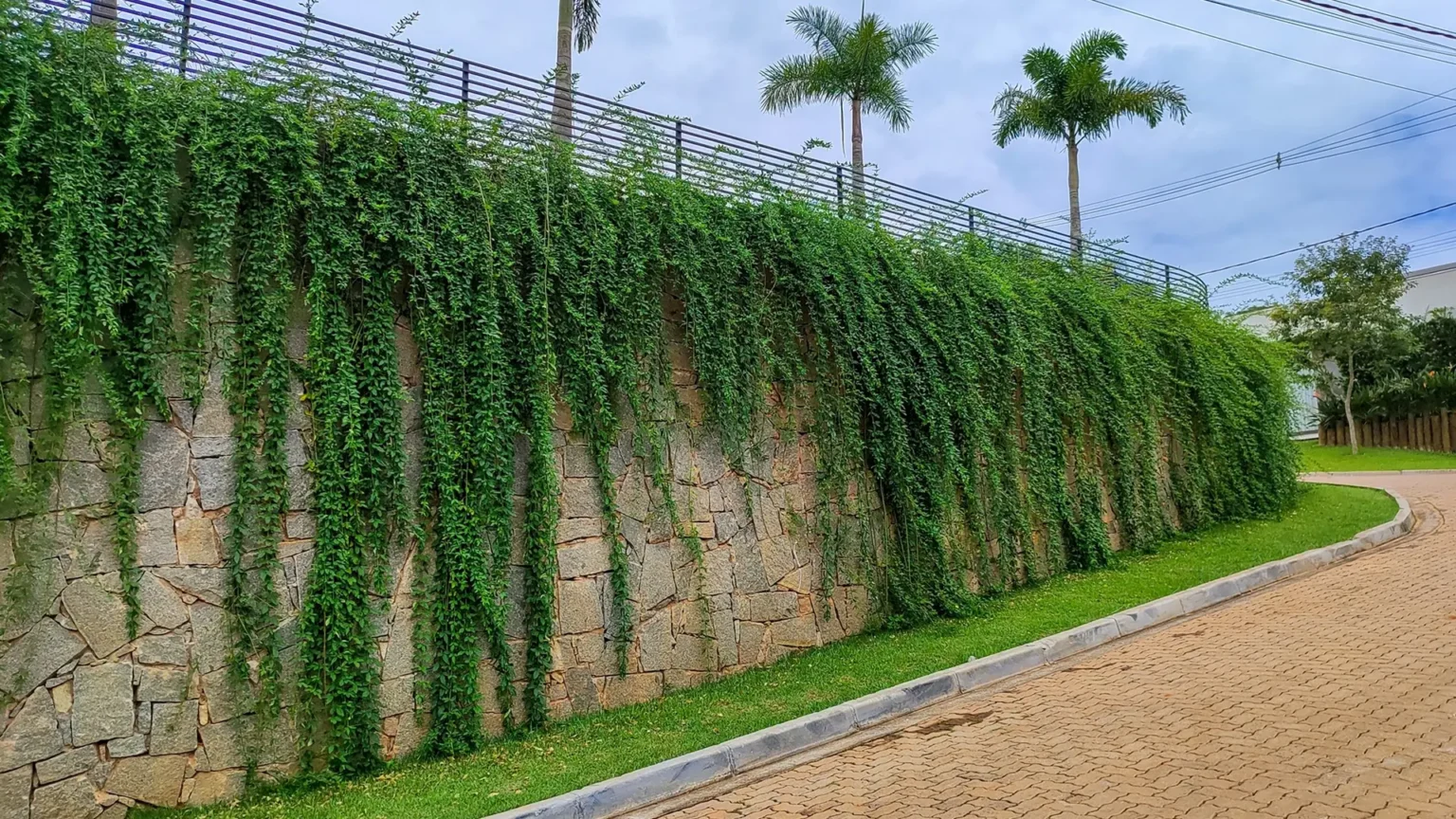 muros-e-muretas-06-scaled