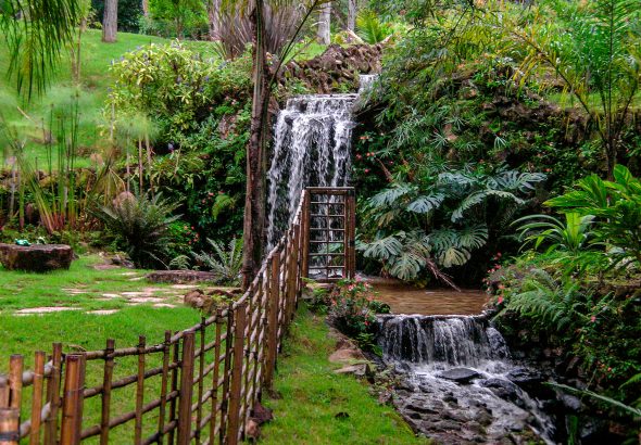 trabalhos_personalizados_5-590x410