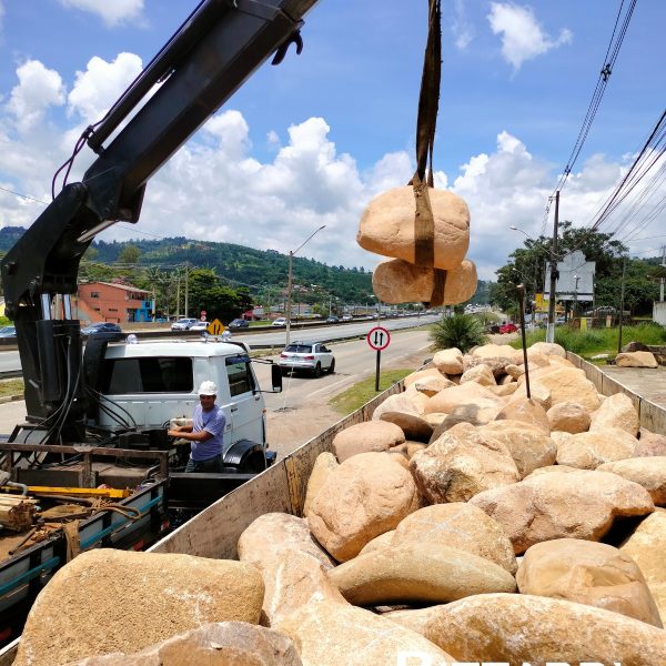 0b48f25c-351c-42ef-8701-efab9caa6c3a