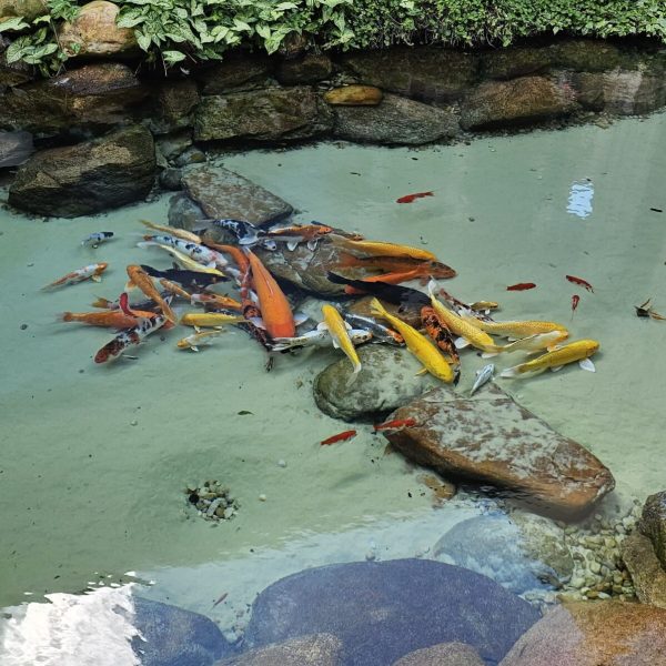 2055dc96-4863-494a-a01d-d16c55fc765a