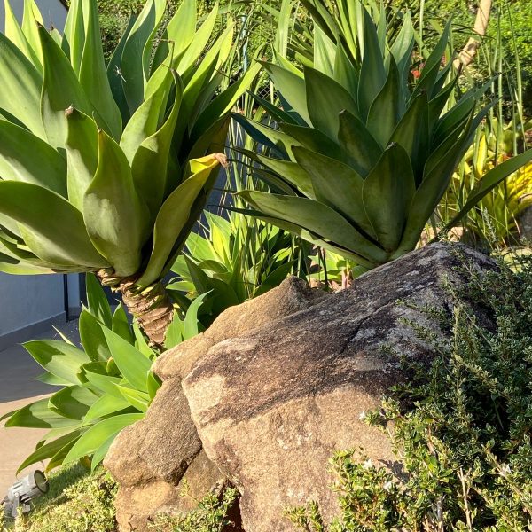 21223db0-15ae-44cc-9c08-4209ad6ea174