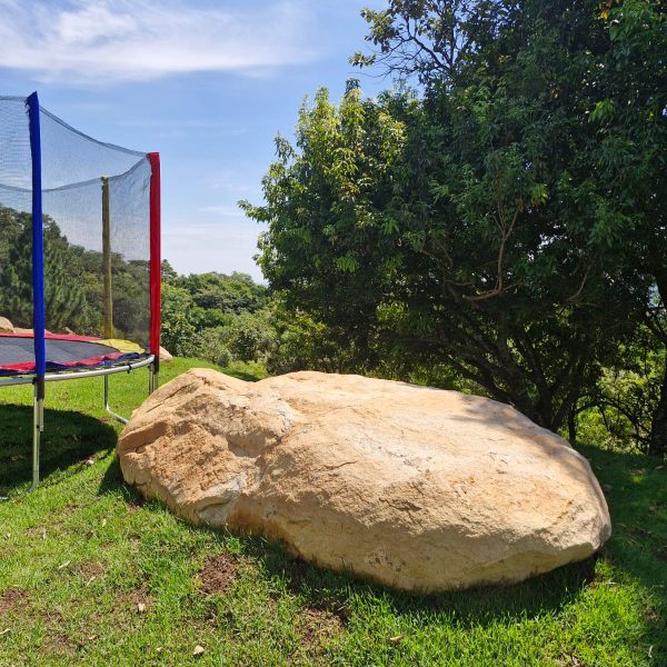 2162e61a-50a9-462e-b4cc-bfa984653513