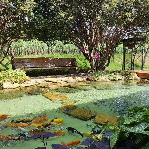 282f6871-da5b-49be-bec3-ffcecf44dea0