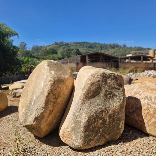 414ec453-b47a-4600-aaf7-412adbc0beb6