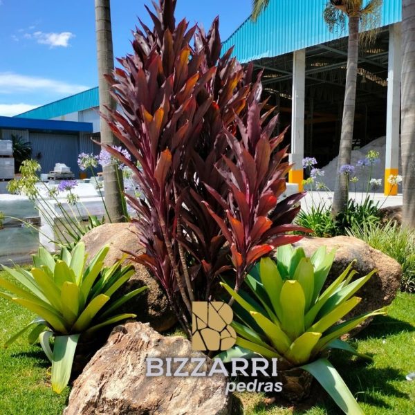 4cfd284c-8ff5-4619-8b52-a7998012f31f