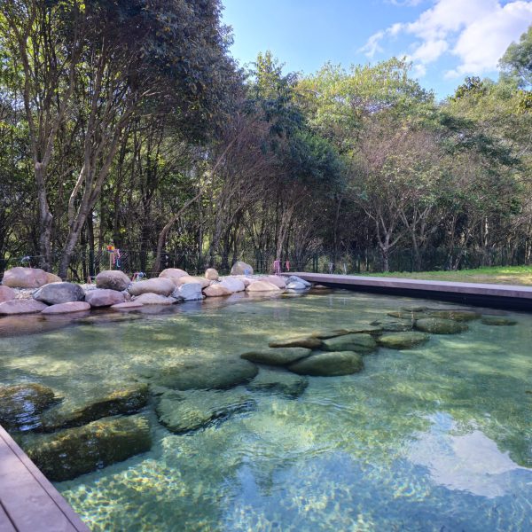 503915dd-540d-4521-bcaf-67d58d4427c3