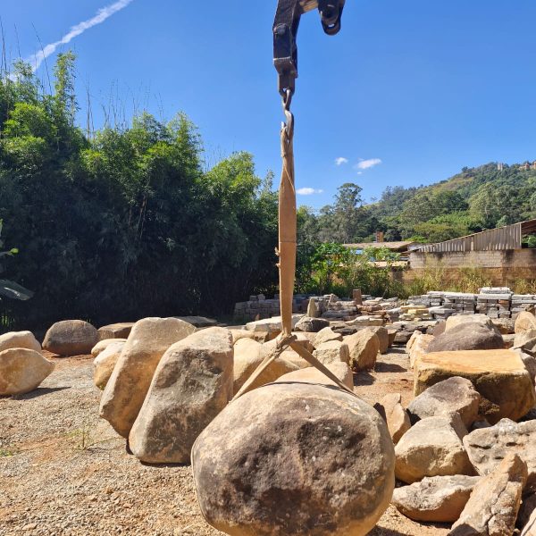 503a07ab-5c4d-465f-bd6f-a4158e7af8a5