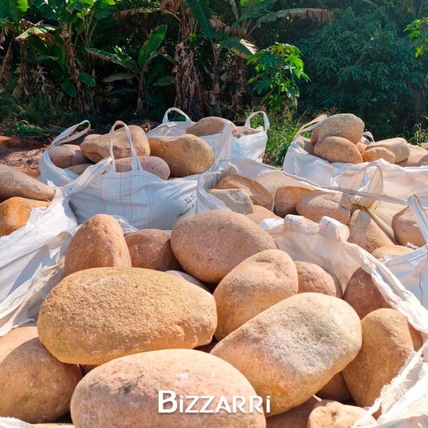 5953a4c6-48dd-4a10-967c-64e7d7e40994