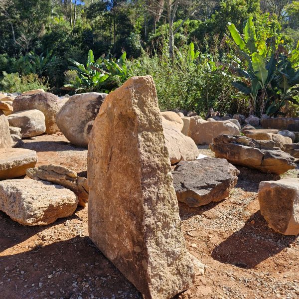 5b9dd912-6bc0-4414-876b-c04041bc70d1