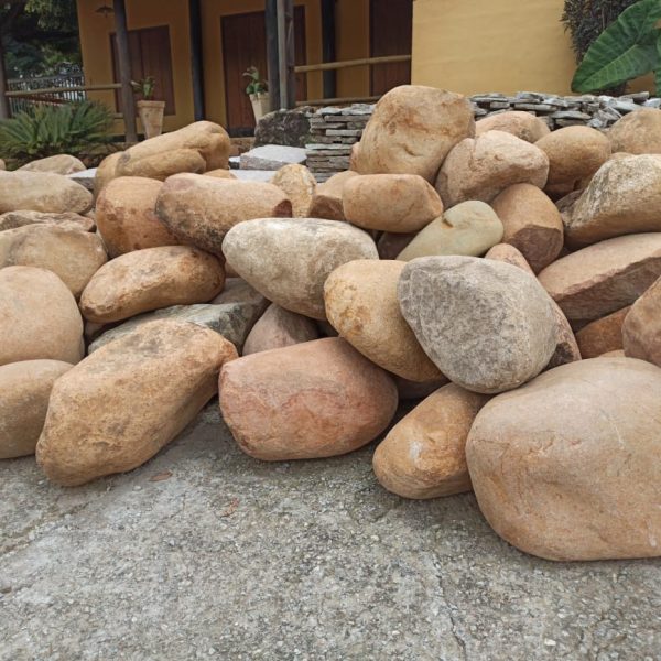 77abc629-fc35-4f4c-b487-f298d7150d9c