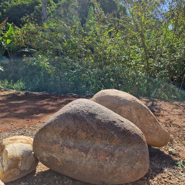 77d66821-e081-44c3-9f37-fead4a4674a0