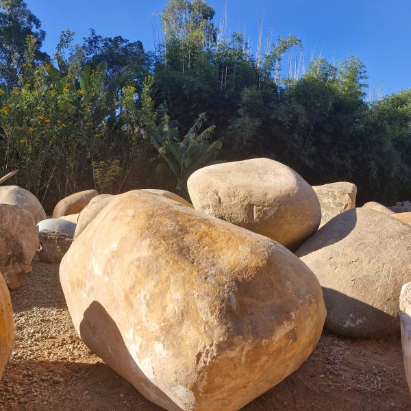 807a748d-10f8-41f6-8880-b23a8fb2e418