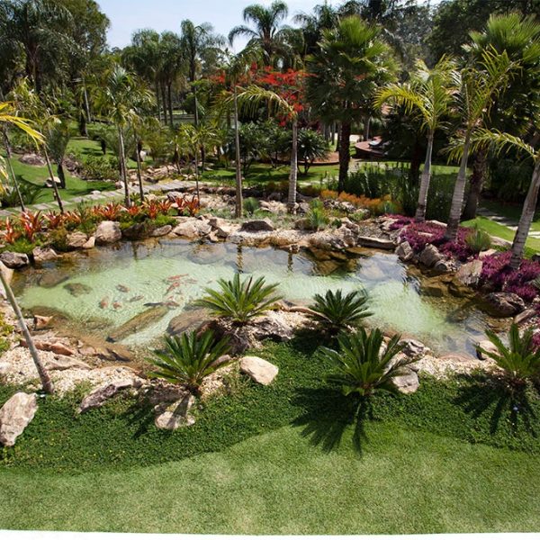 810ee5db-c862-45ef-b67f-dbc54ebc71a5