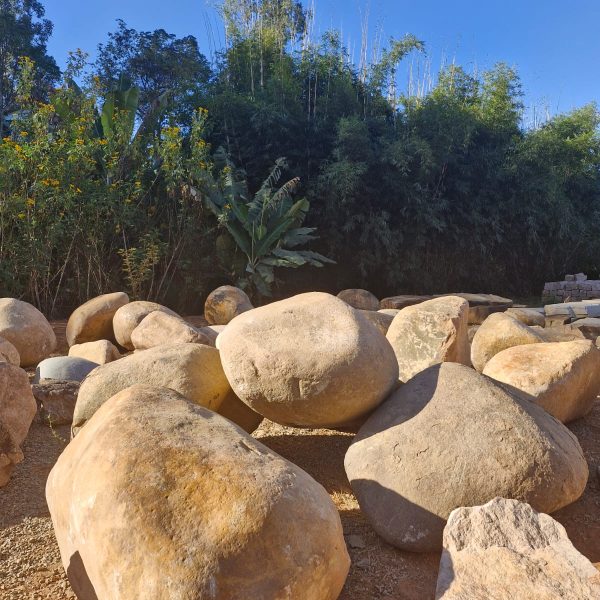 aceda3e9-e726-42f7-8b88-94dbf4dcc6e6