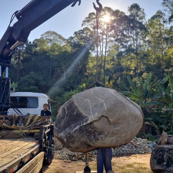 bf12b9a3-1c13-4216-9987-bd6e75661448