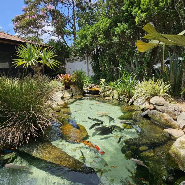 c1027ab1-0c24-4017-903e-980aa1a4c77c