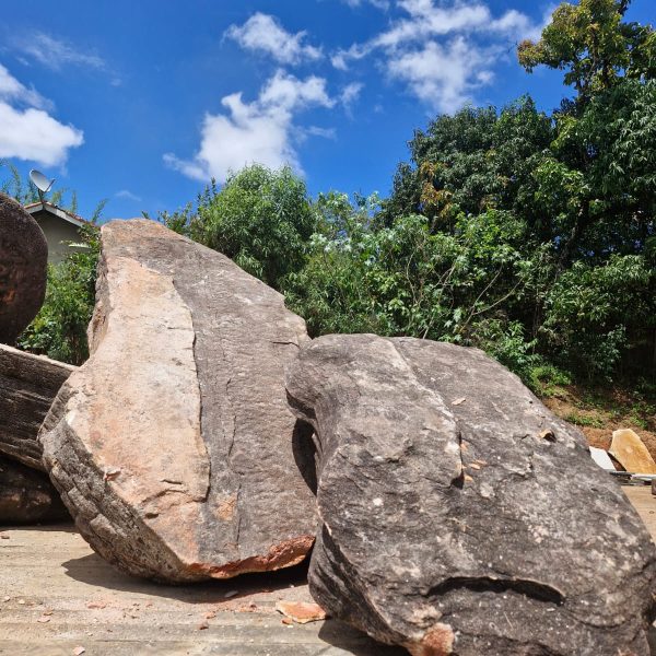 c55b135d-993b-4806-806a-0cbc43f6ef05