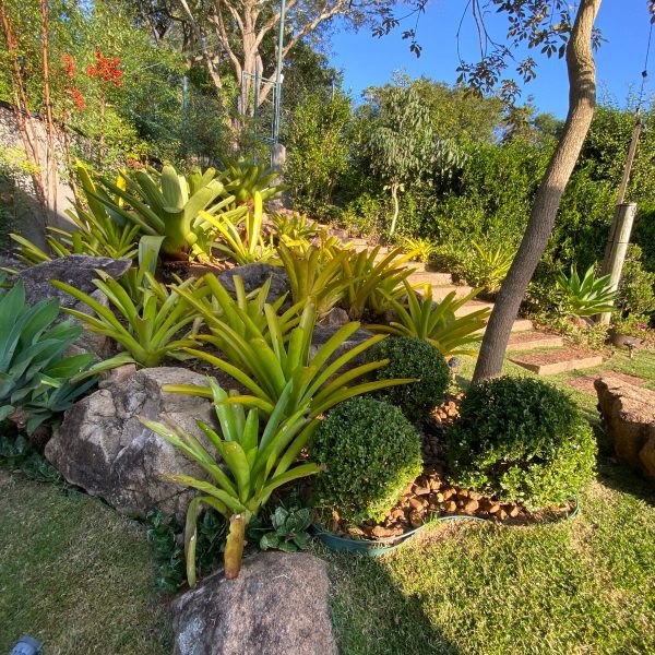 c951da98-f03f-483f-acd3-855a77a50b92