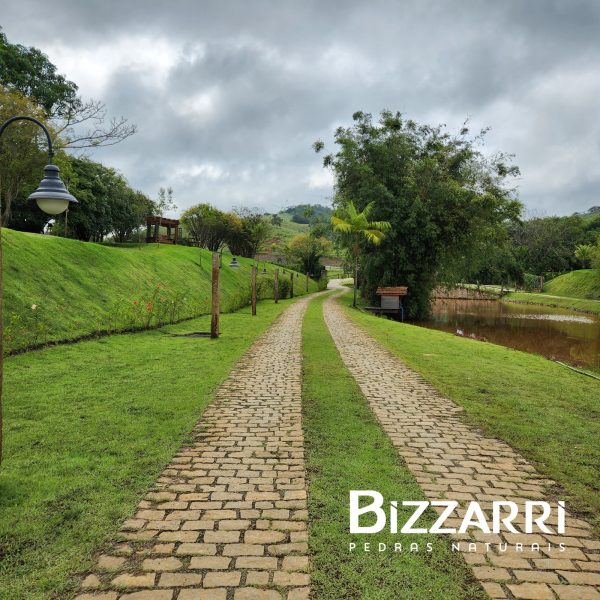 d6e0737c-0715-44f1-930c-f9c67ada3a8f