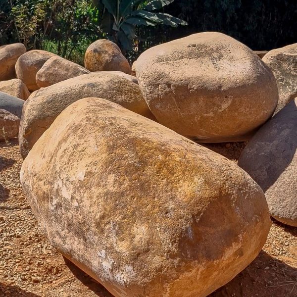 db0ac742-0b7f-48c6-8865-0061934a502f