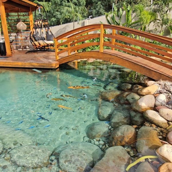 fb0dddc5-f6e0-4be5-964c-52d74e86f232