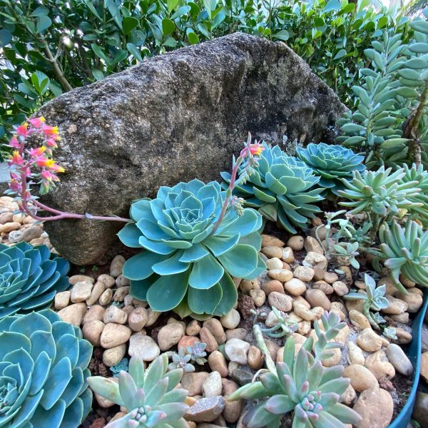 fca0b738-d9d2-45f8-b7f5-81df42bec8e5