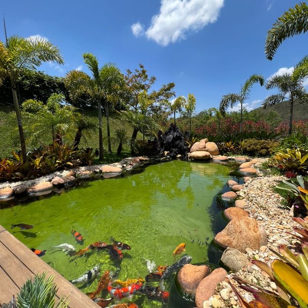 fed406ad-0dd2-47f8-9550-1295c2d0c22e