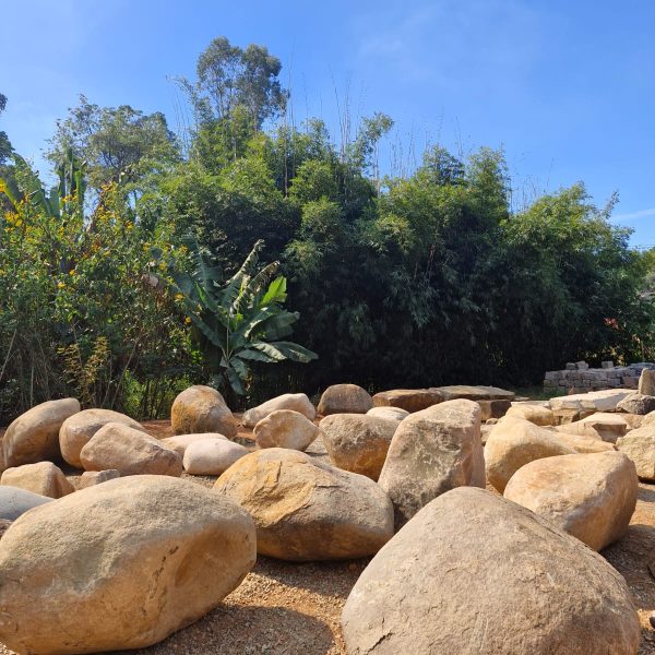 fef9be00-d470-4f36-9c80-c9b3aba87a2a