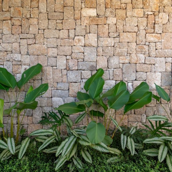 moledo-lapidada-mosaico-4-1024x1536