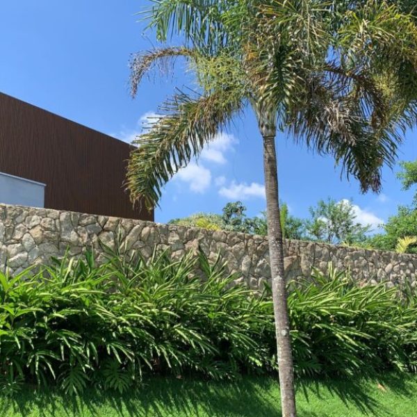 moledo-natural-champagne-07-1024x576