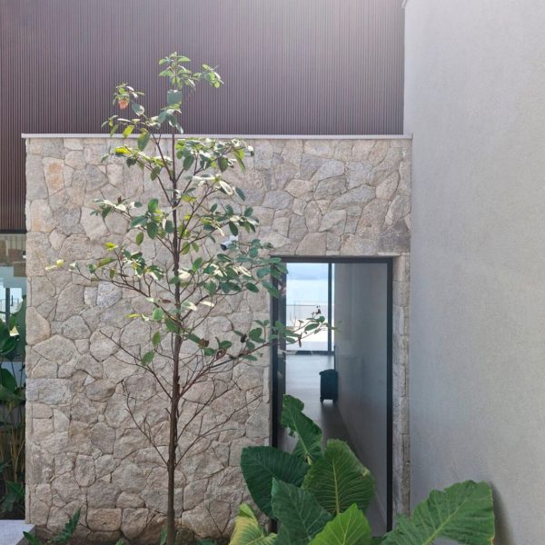 moledo-natural-champagne-09-1152x1536