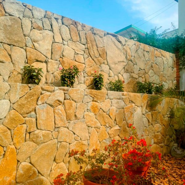 moledo-natural-daterra-7-1153x1536