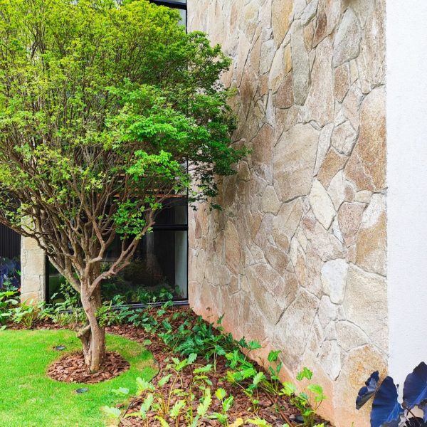 moledo-natural-pampas-05-1152x1536