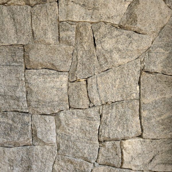 moledo-raizes-artico-01-1152x1536