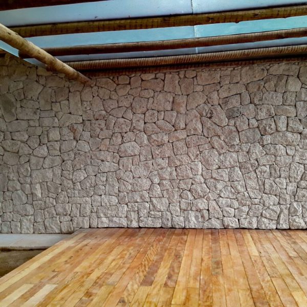 moledo-raizes-flocus-2-1024x768