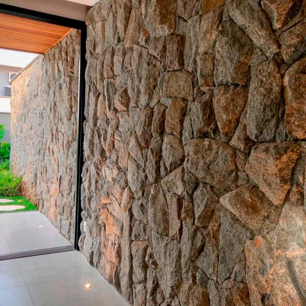 moledo-raizes-nevoa-4