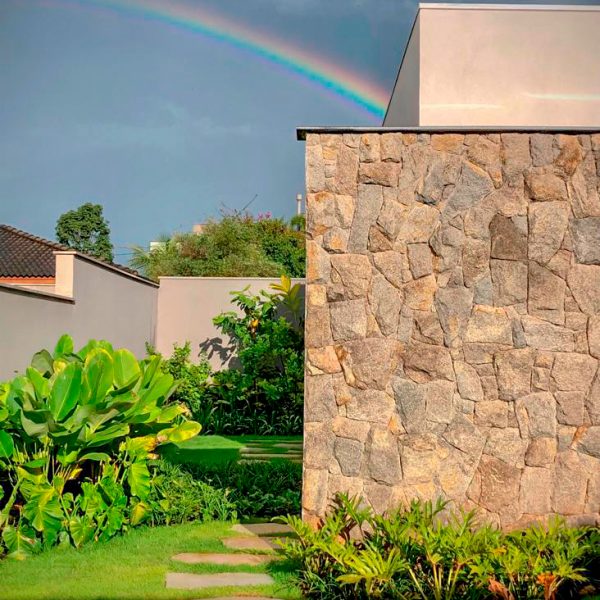 moledo-raizes-nevoa-5