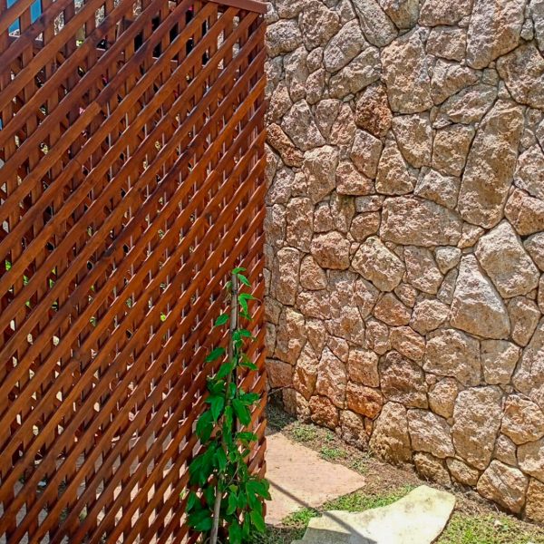 moledo-raizes-rose-5-1152x1536