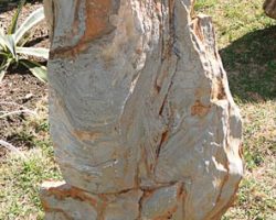pedra-escultural-5